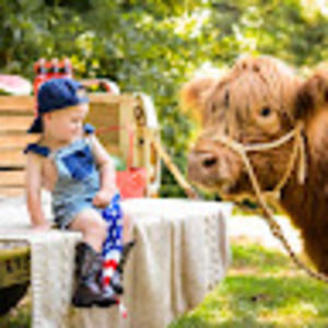 Meet your Posher, Angel